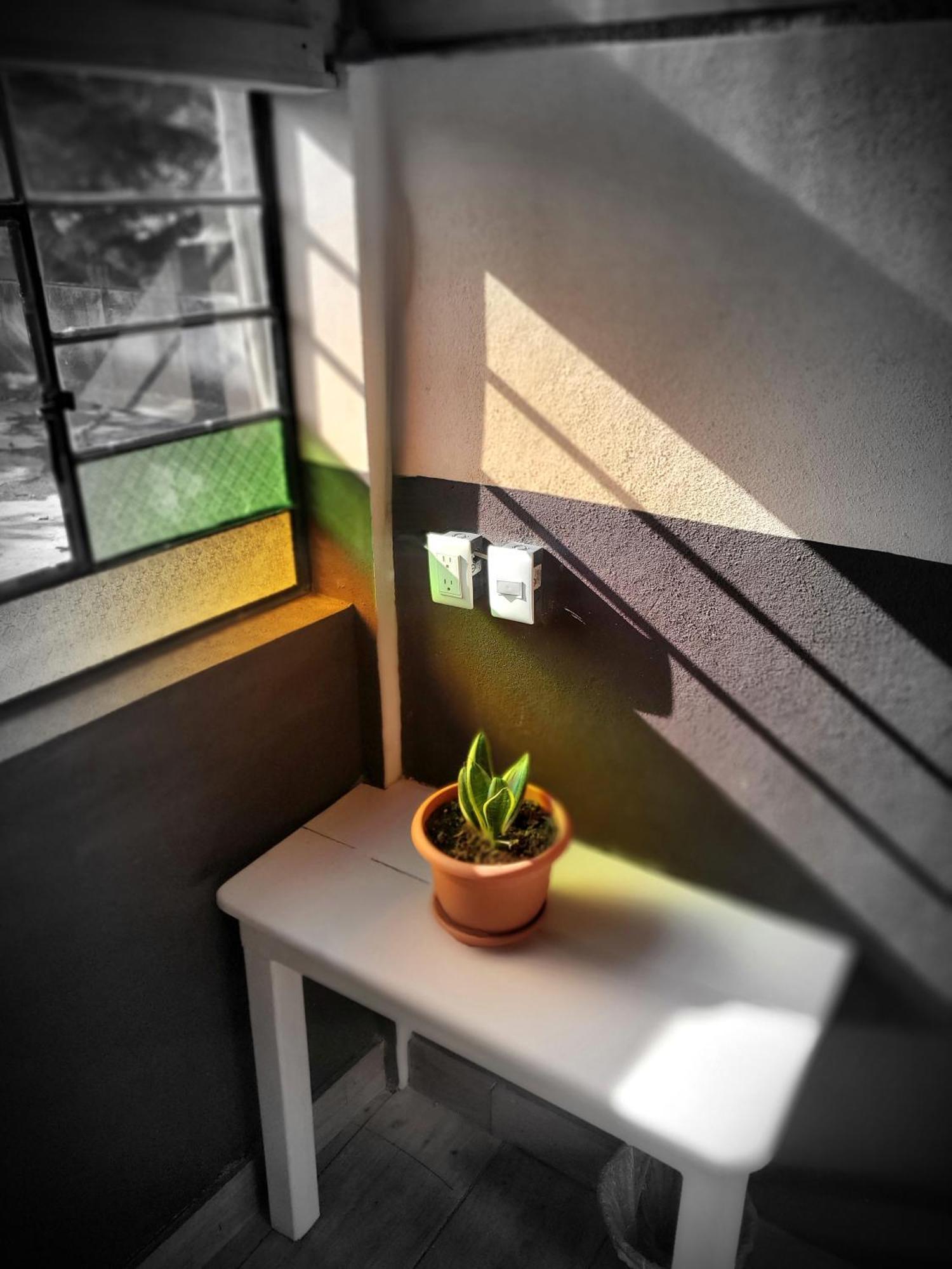 Art & Coffee Hotel Santa Cruz La Laguna Ruang foto